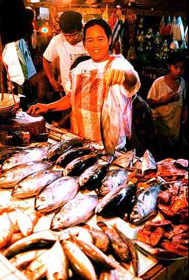 Fish-Tuna Market